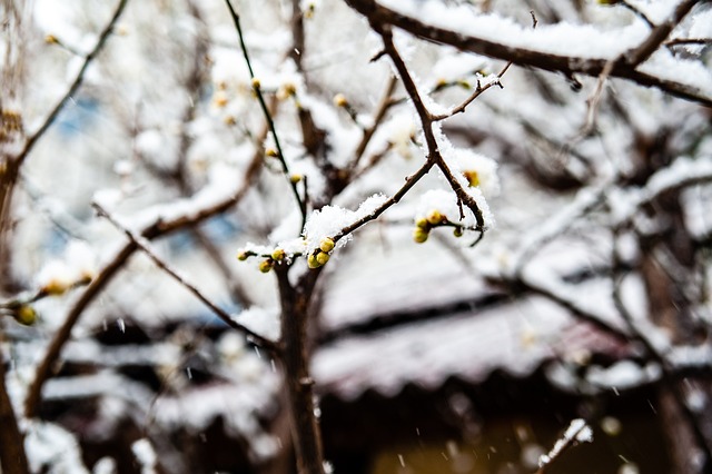 给雷霆