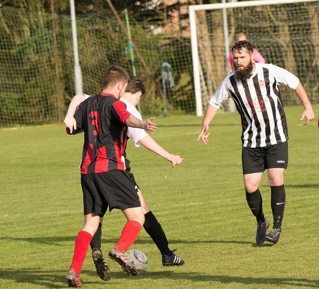 在他效力于 在他效力于