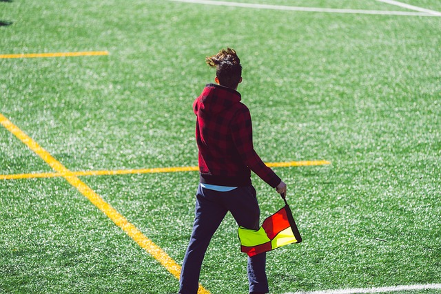 增添了光彩 增添了光彩