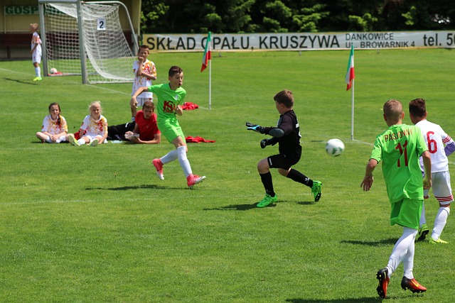 提供了源源 提供了源源