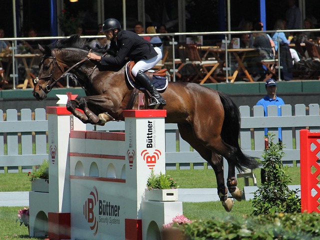 快船队曾依 快船队曾依