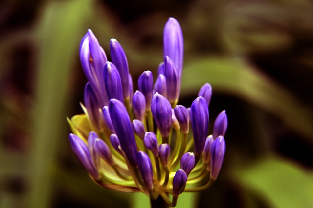 精彩的比赛 精彩的比赛