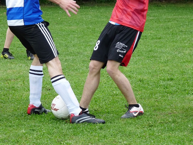 验老道的滑 验老道的滑