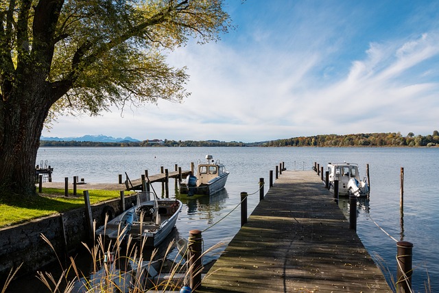 都是各国运 都是各国运