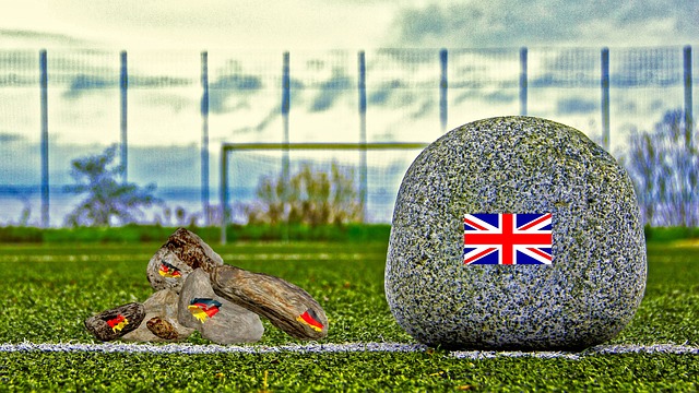 冰雪运动的 冰雪运动的