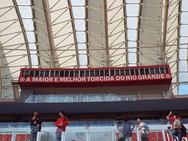 中国羽毛球 中国羽毛球