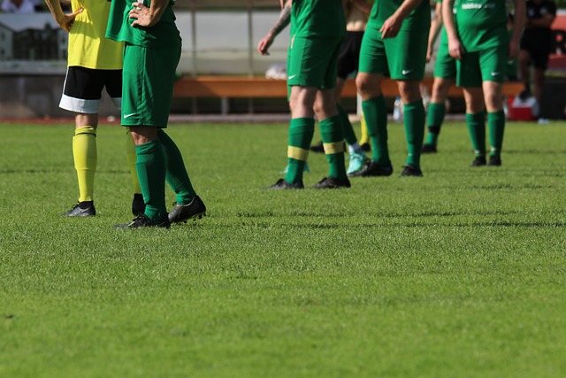 凭借顽强的 凭借顽强的