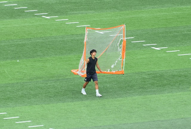 引进